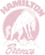 Hamilton High School Reunion reunion event on Jul 27, 2012 image