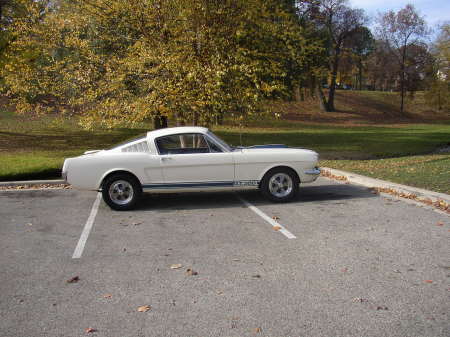 My 1965 Shelby GT350.