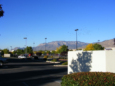 This is a pic of the Sandias from Albuquerque