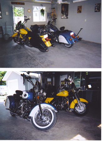 My harleys