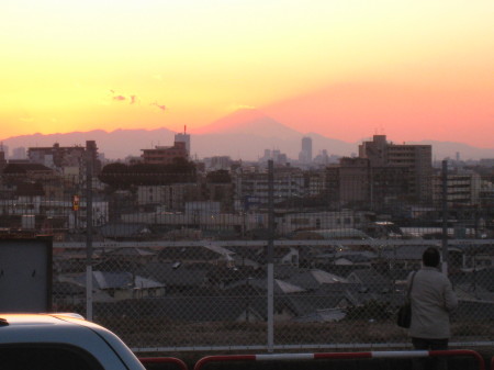 a new year view of Mt. Fuji