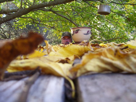 Picnic Table