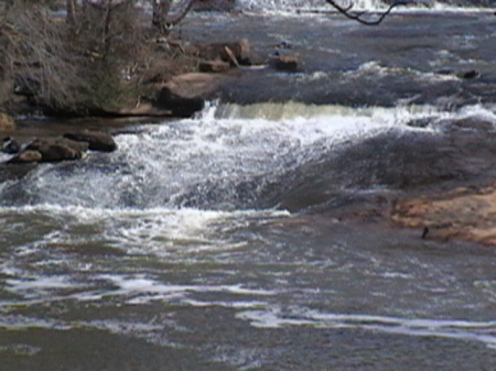 Reedy River