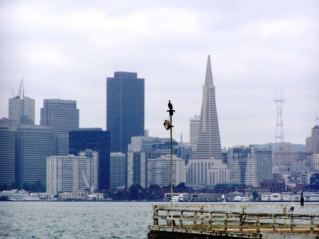 Fishing off of Treasure Island.