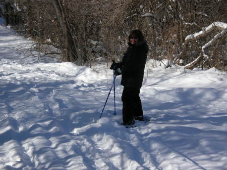 Snow in Utah 2008