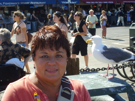 My fantastic wife Pat being eyed by a gull in San Fransisco