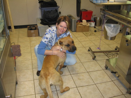 Me helping out at the Vet Hospital