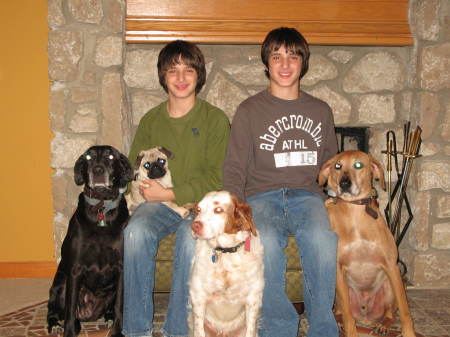 Aaron and Adam and all the doggies