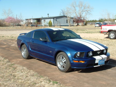 My Stang!!