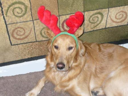 Ben The Christmas Reindeer