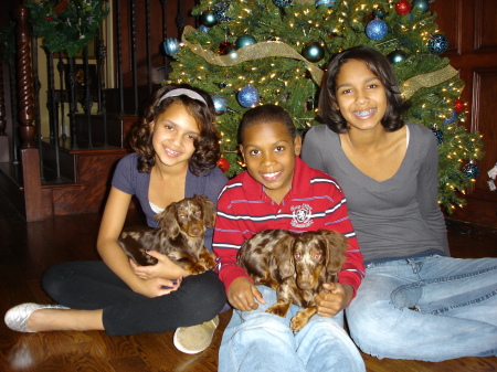 My children with their new puppies - December 2007