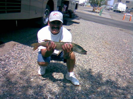 Navaho Lake, New Mexico