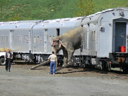 Circus train 2006