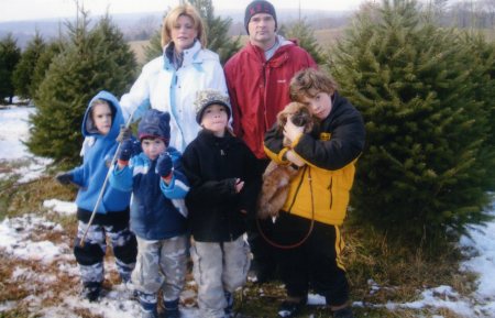 tree cutting