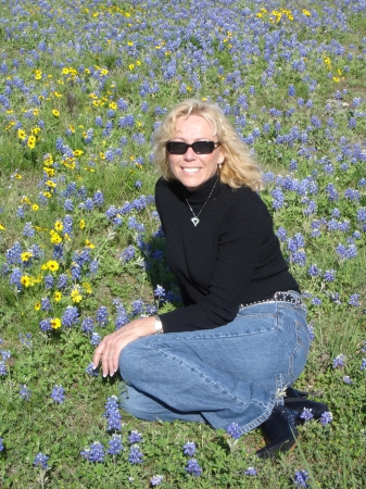 Texas Wildflowers