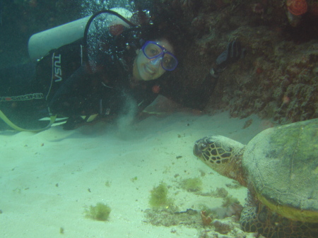 Scuba Diving in Oahu