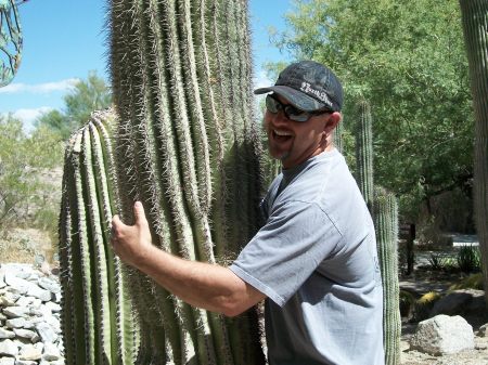 Teri Pintacura's album, Living desert zoo