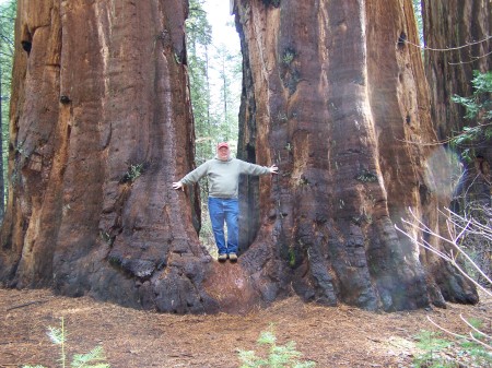 mike with redwoods