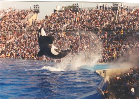 Seaworld San Diego