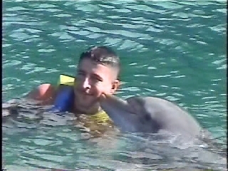 Dolphins 04