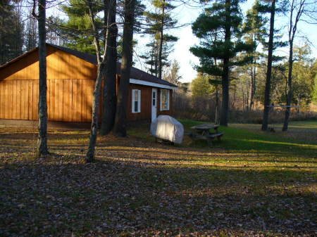 My little house in the big forest