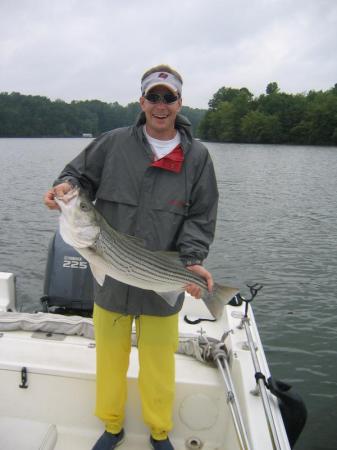 Georgia Stripers