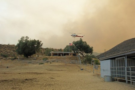 Wildfire 2006