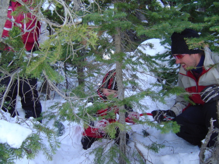 Oliver cutting down his Christmas tree - 2006