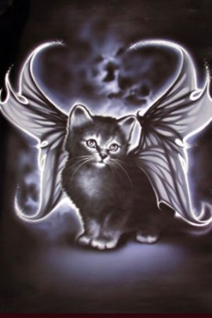 angel kitty-my next tattoo