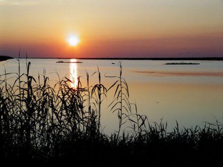 Everglades Sunset