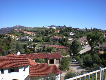 Backyard View