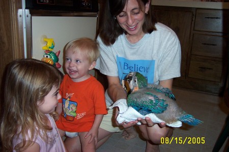 Family with Firecracker