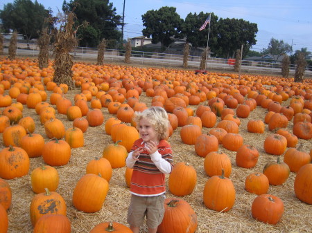 ashton at the pumpkin patch 2006 001