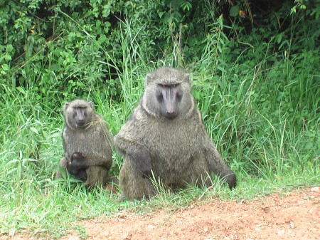 My "not so happy" friends in Uganda