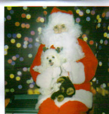 My "son" Gizmo and Santa