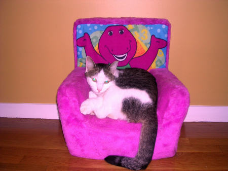 Chester in the Barney Chair