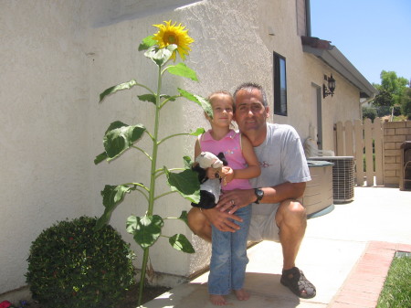  Delaney and her sunflower