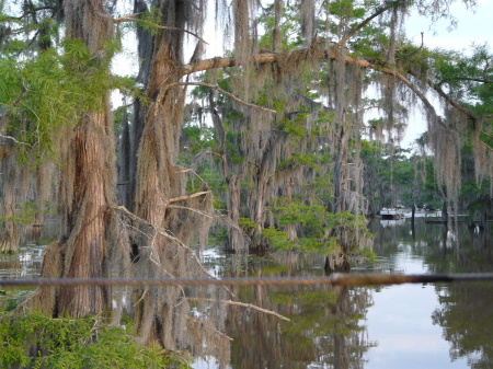 Caddo Lake