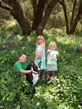 Our Sweet Peas in the Sweet Pea