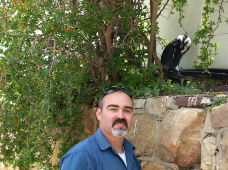 Hangin' out with a resident penguin in Simon's Town