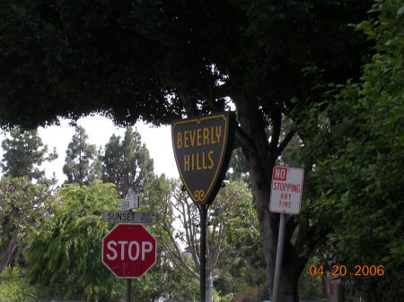 Sunselt Blvd in Beverly Hills