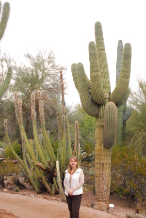 Big Cactus!