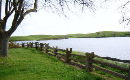 Old Fence