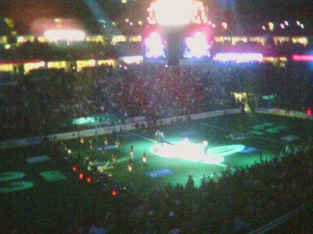 Go Mammoth!