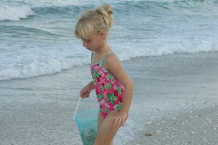 Lily on the Gulf