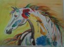 Color War White Horse