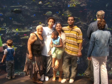 A day at the ATL Aquirium (pic taken in 2007)