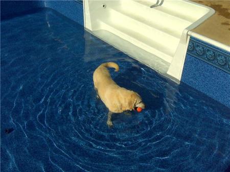 My girl helping with the pool.