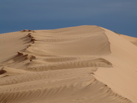 Beautiful untouched sand hills are common here in the numerous deserts in Australia