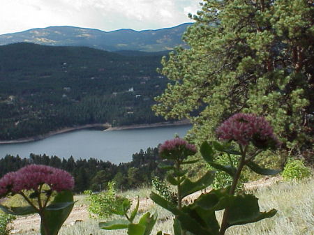 VIEW FROM DECK